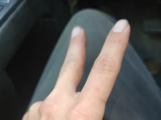 CHIP35 SinParty Model