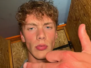 HarryLongJohnson SinParty Model