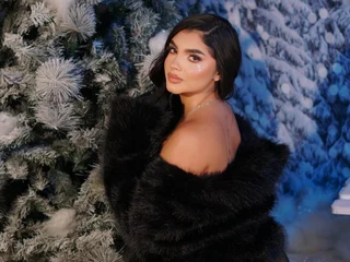 SamiLewis SinParty Model